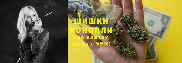 шишки Баксан