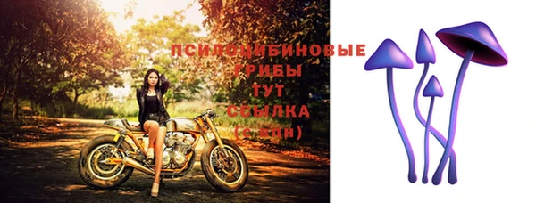 марки lsd Балабаново